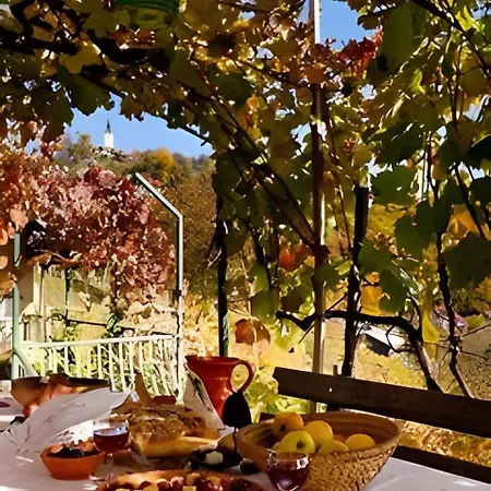 Apartment In Novo Mesto - Dostava - Kranjska Krain 26035 *