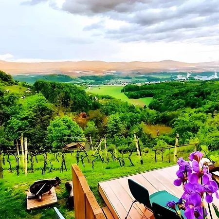 In Novo Mesto - Dostava - Kranjska Krain 26035 *