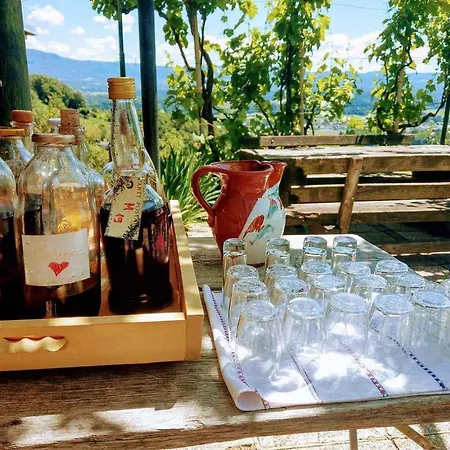 In Novo Mesto - Dostava - Kranjska Krain 26035 Apartment *