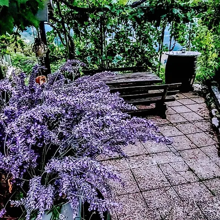 Apartment In Novo Mesto - Dostava - Kranjska Krain 26035 *