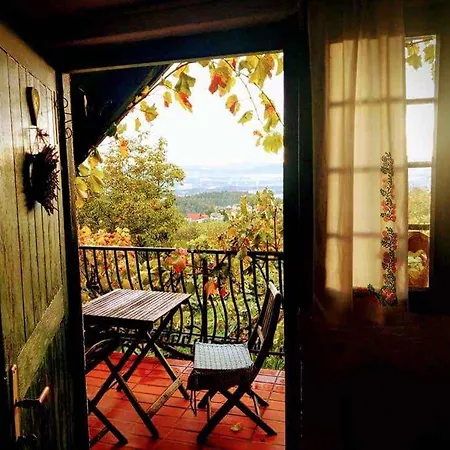 In Novo Mesto - Dostava - Kranjska Krain 26035 * Mackovec pod Trsko Goro