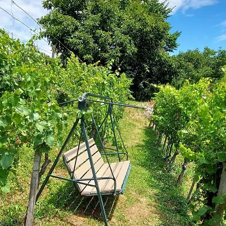 In Novo Mesto - Dostava - Kranjska Krain 26035 * Mackovec pod Trsko Goro