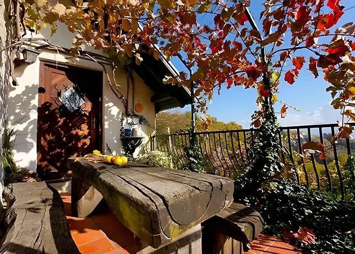 In Novo Mesto - Dostava - Kranjska Krain 26035 * Mackovec pod Trsko Goro