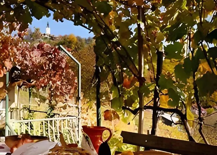 Апартаменты In Novo Mesto - Dostava - Kranjska Krain 26035 *