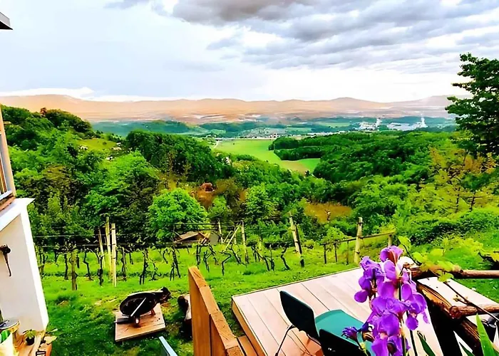 In Novo Mesto - Dostava - Kranjska Krain 26035 *