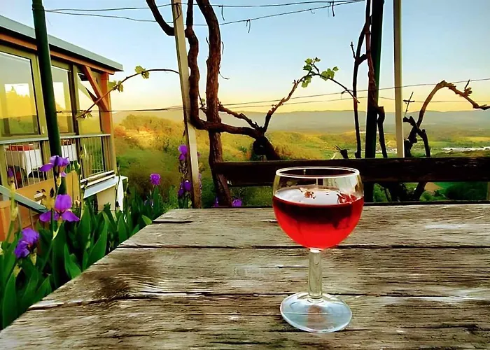 In Novo Mesto - Dostava - Kranjska Krain 26035 Апартаменты Mackovec pod Trsko Goro