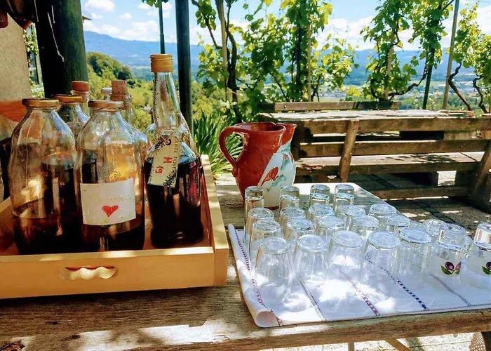 In Novo Mesto - Dostava - Kranjska Krain 26035 Апартаменты *