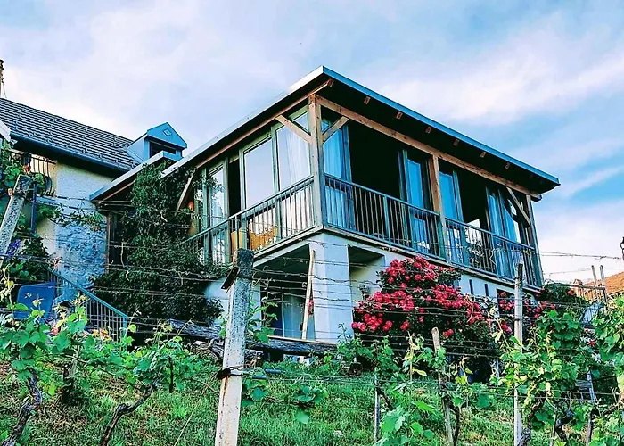 In Novo Mesto - Dostava - Kranjska Krain 26035 Апартаменты *