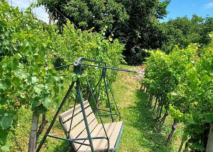 In Novo Mesto - Dostava - Kranjska Krain 26035 * Mackovec pod Trsko Goro